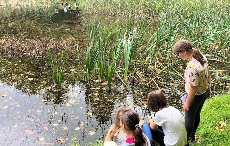 Co se skrývá pod hladinou? - zvětšit obrázek