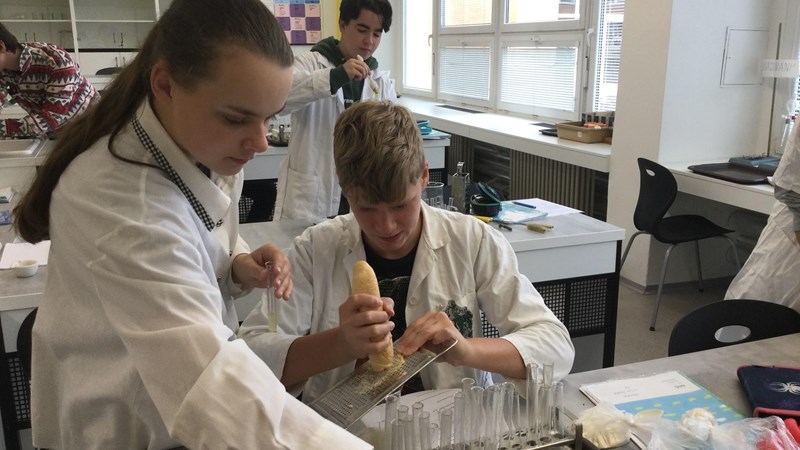 EXPERIMENTOVÁNÍ V CHEMII