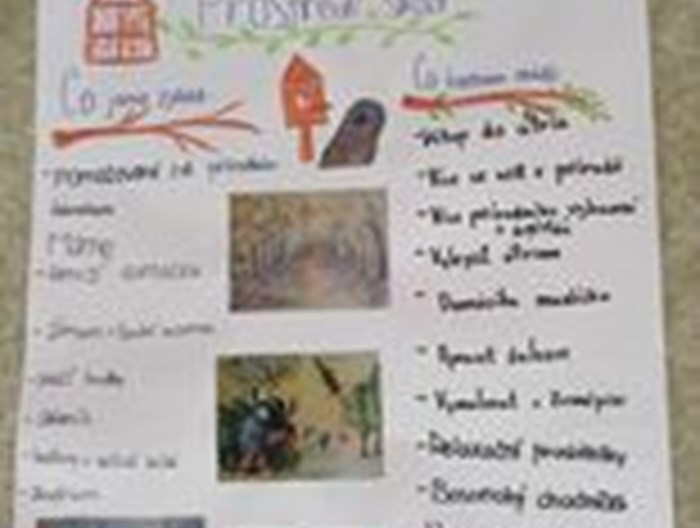 Zelená cesta nástěnka