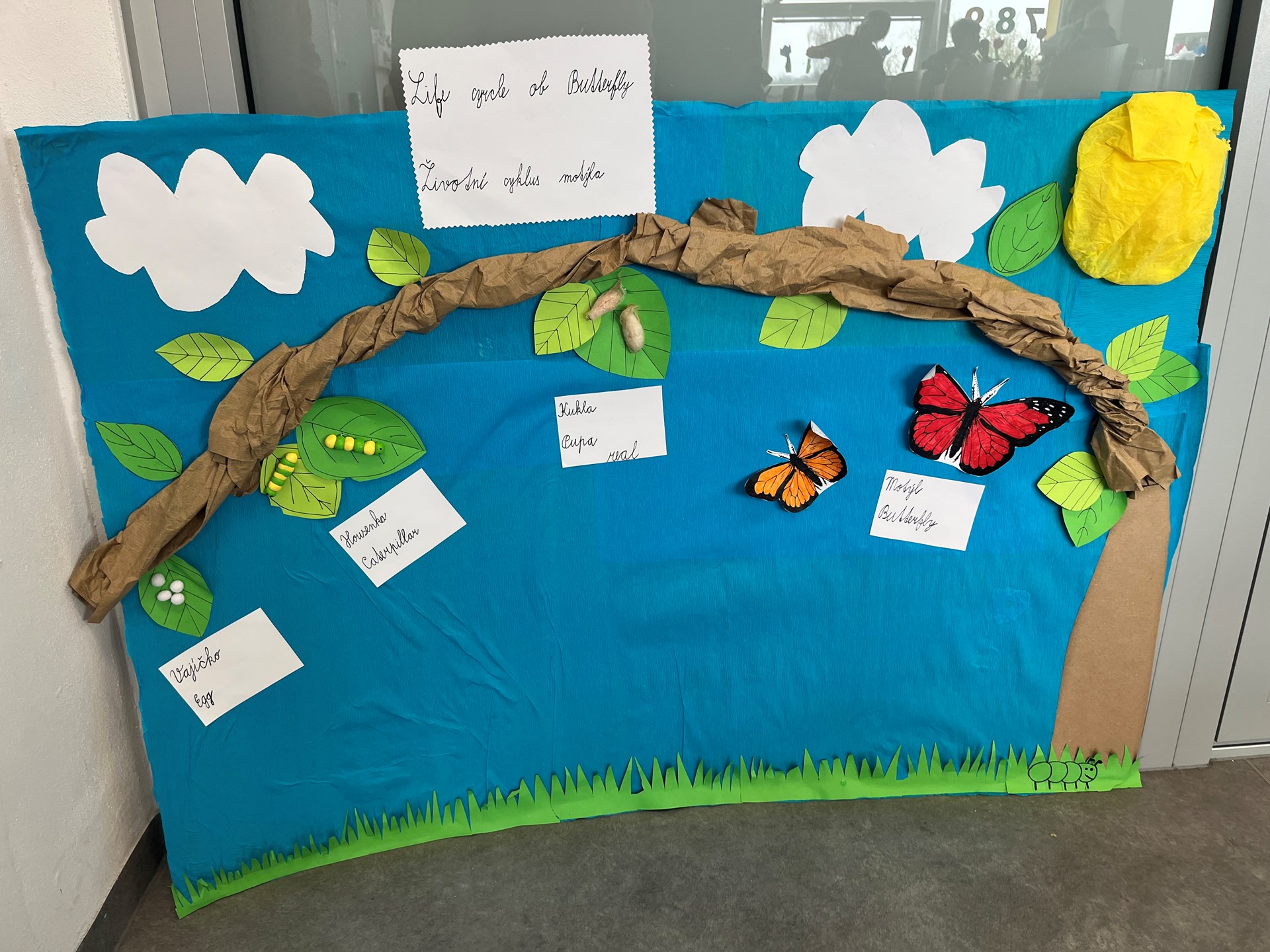 Motýl - projekt ČSP