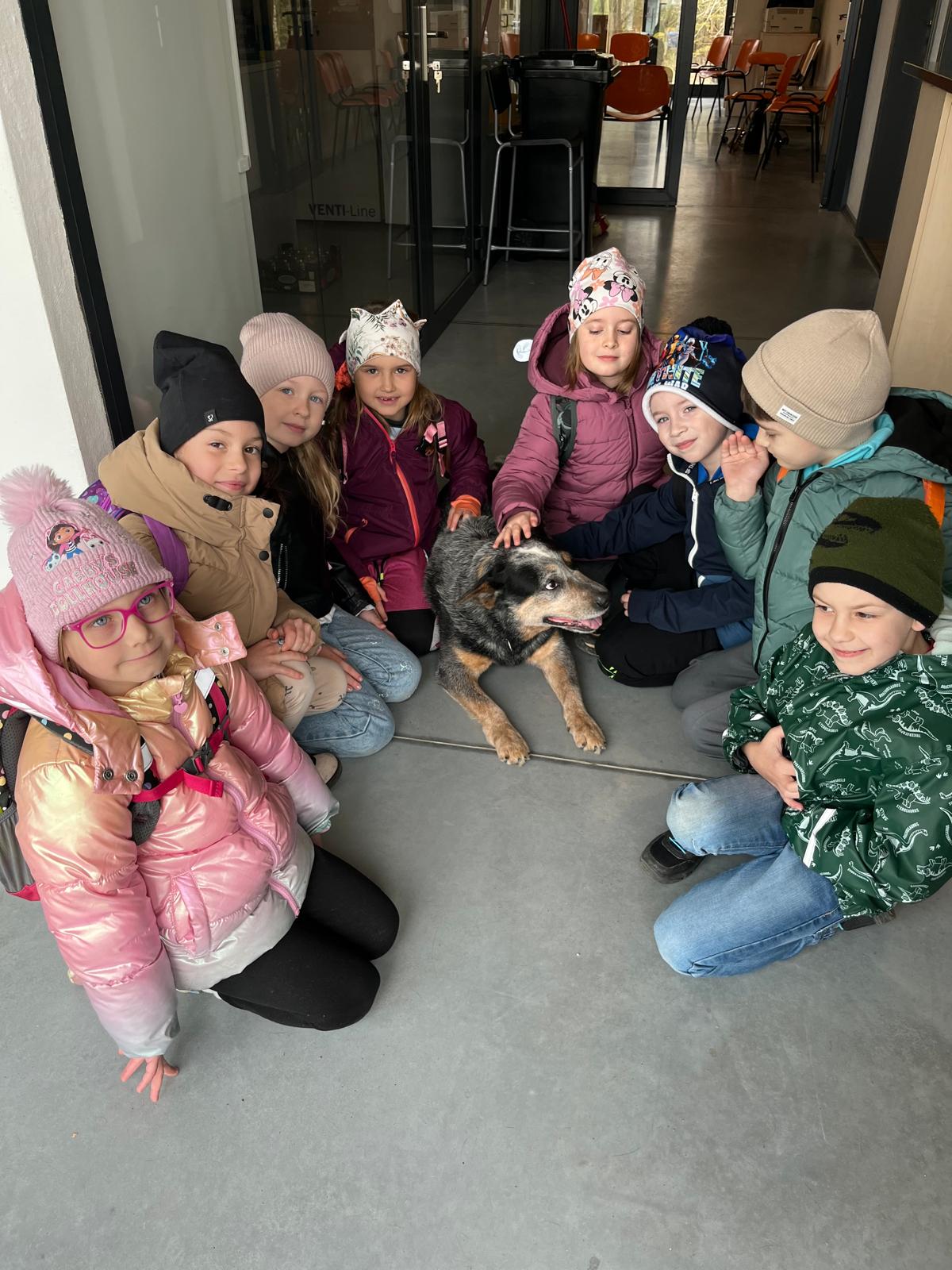 Přípravná třída na návštěvě u signálních zvířat 