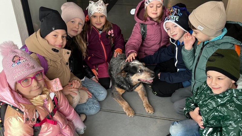 Přípravná třída na návštěvě u signálních zvířat