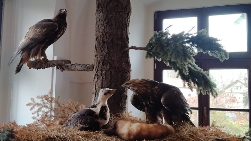 Záchranná stanice Bartošovice